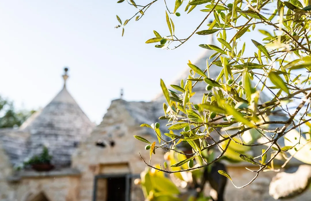 Sopra i Sassi - Villa&Trulli-1