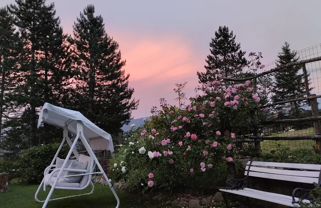 B&B Alle Betulle-1