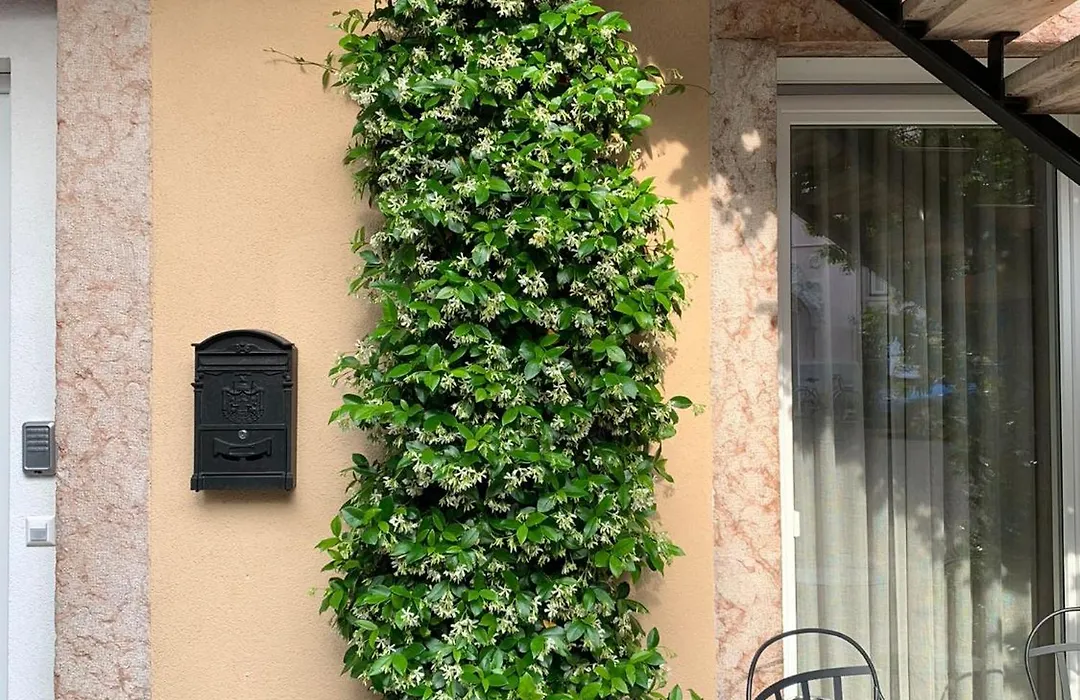Villa Jasmine-1