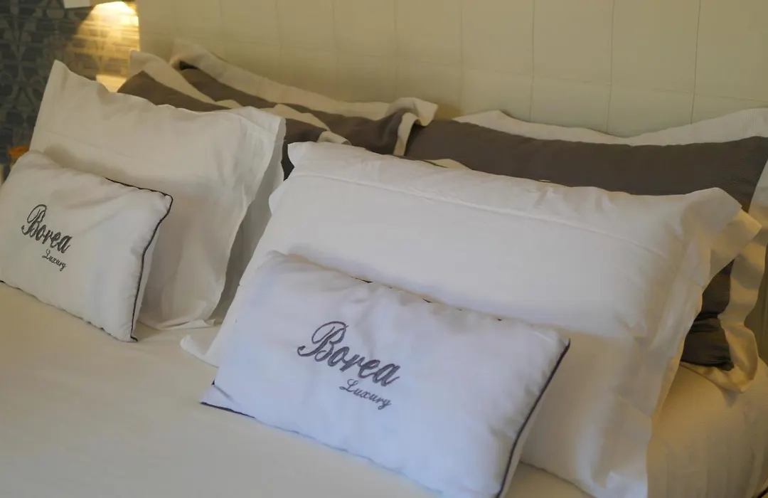 Borea Luxury B&B-1