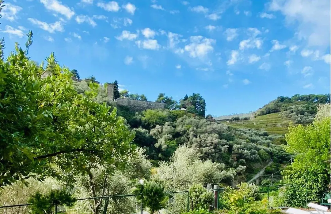 Albergo Degli Amici-1