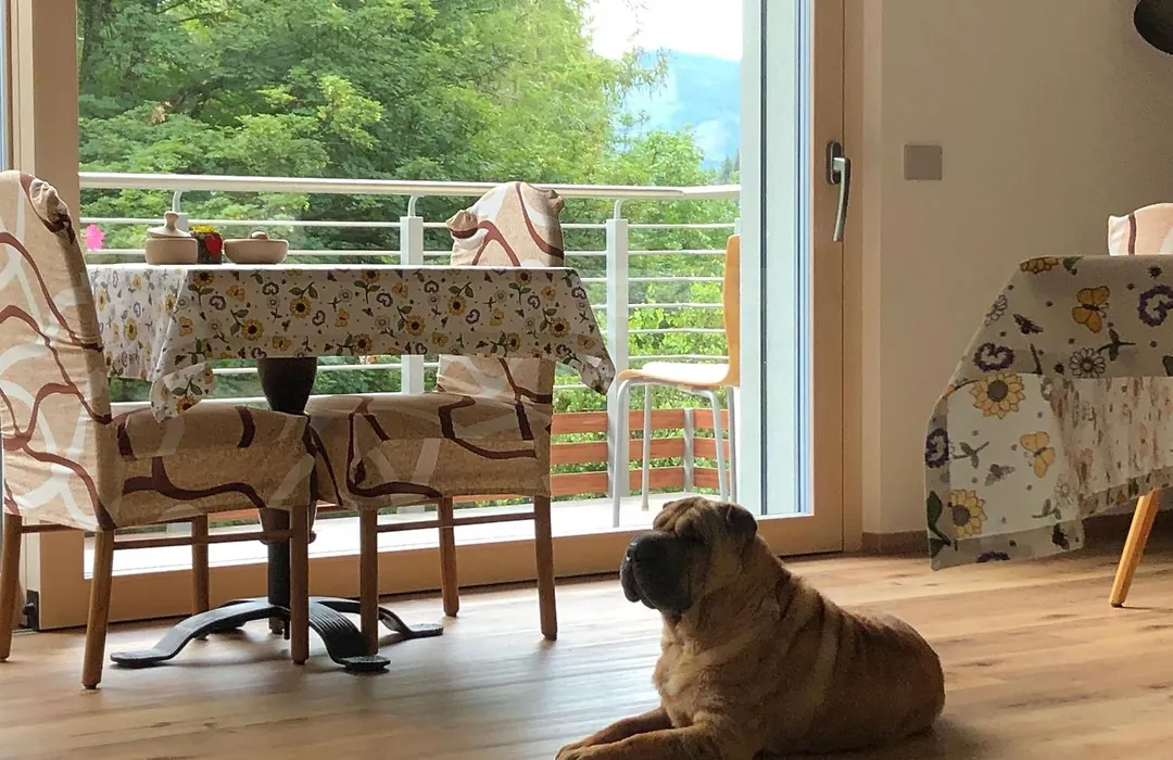 B&B Le Stagioni di Stava-1