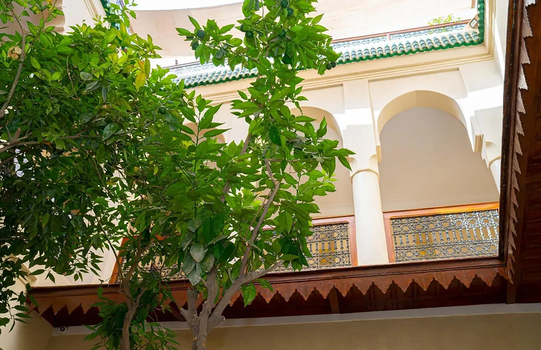 Riad Dar Zaouia-1