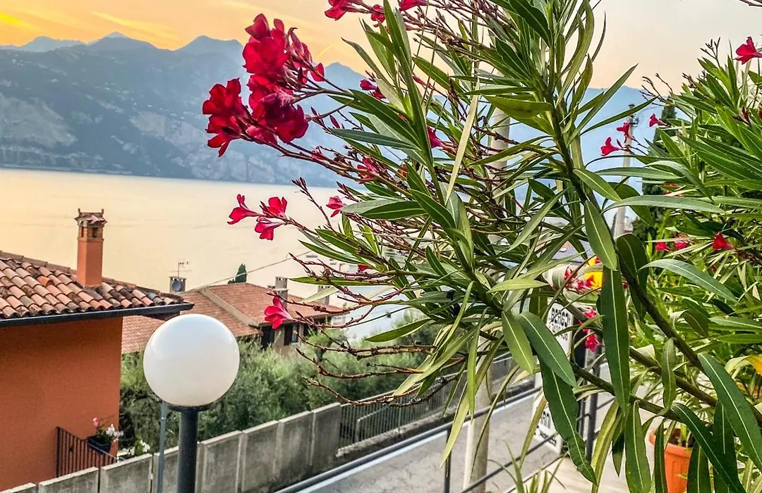Villa Emma Malcesine-1