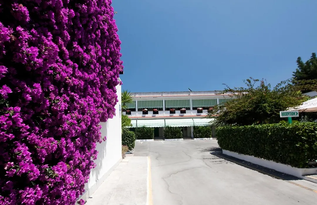 Hotel Residence Nemo-1