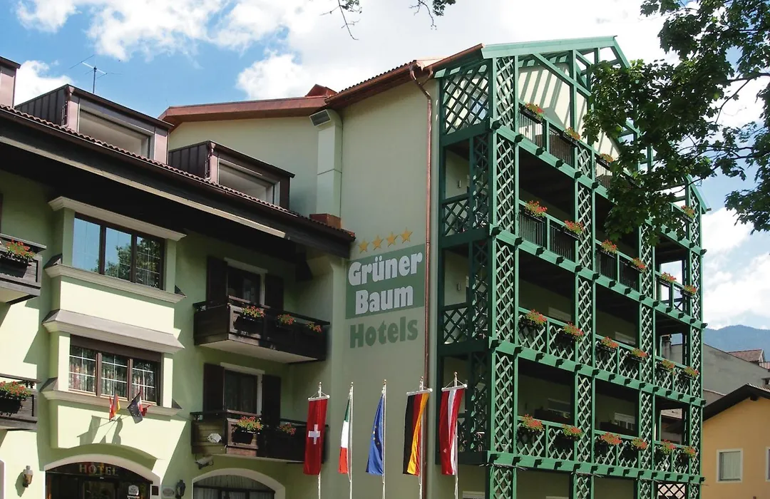 Hotel Gruener Baum-1