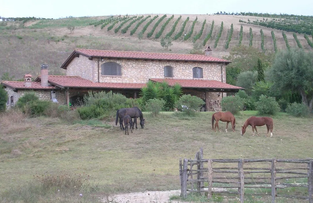 Casale Farnesiana B&B-1