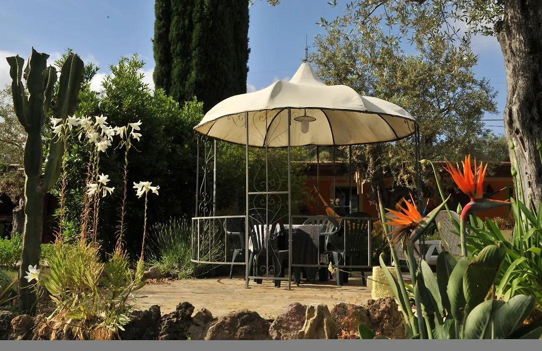 Butterfly House Bed & Breakfast-1