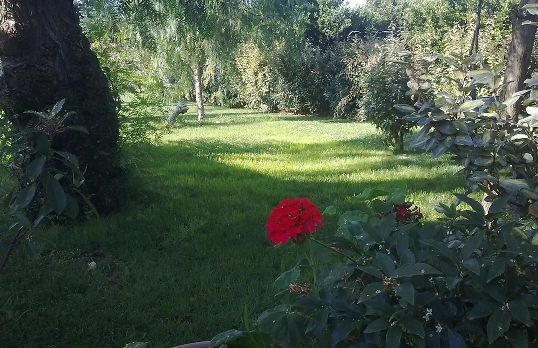 Mylife B&B Country House-1