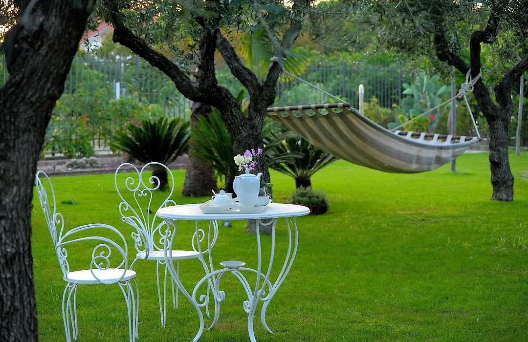 Il Giardino del Tè-1