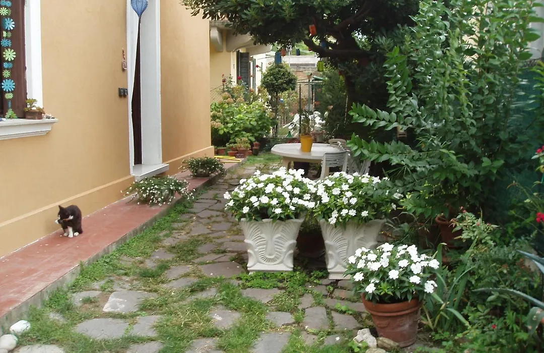 Perla B&B-1