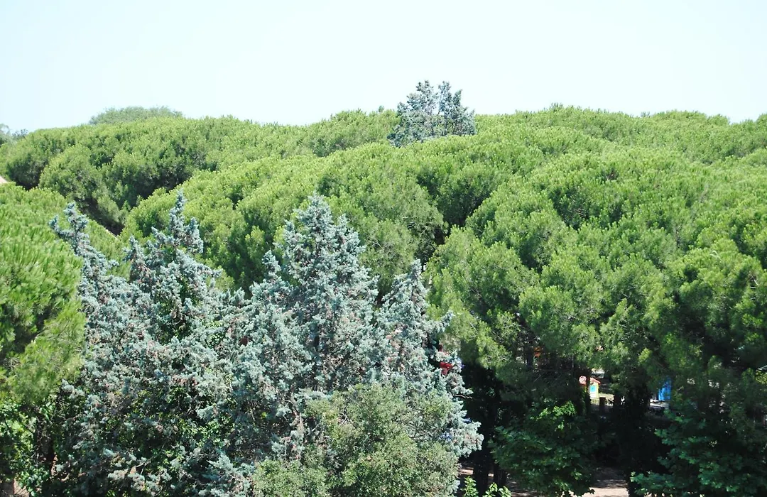 Hotel Capriccio-1