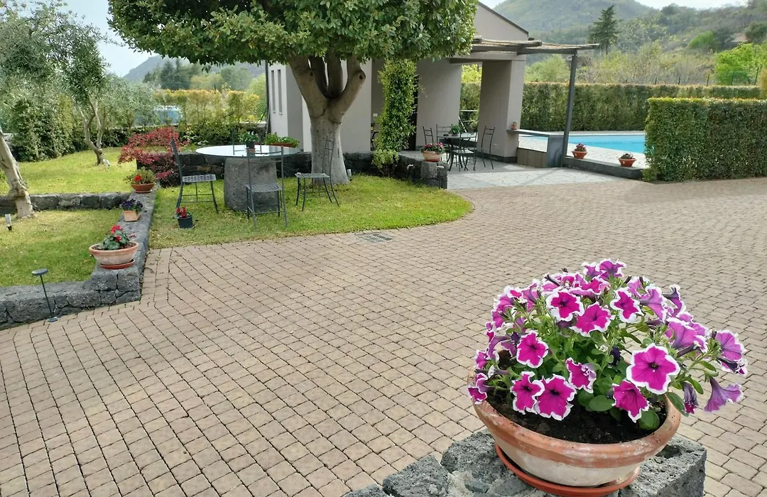 La Casa dell'Alloro-1
