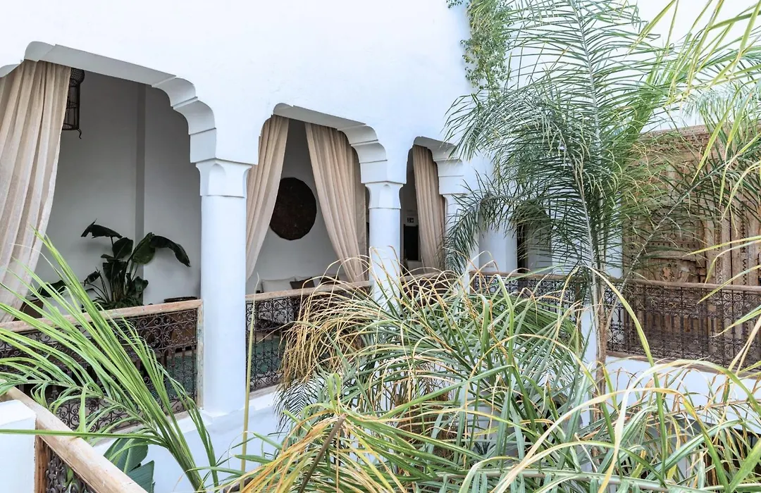Riad Alkemia en exclusivité-1