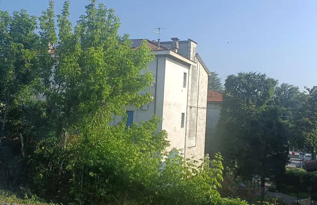 B&B Mavipagi-1