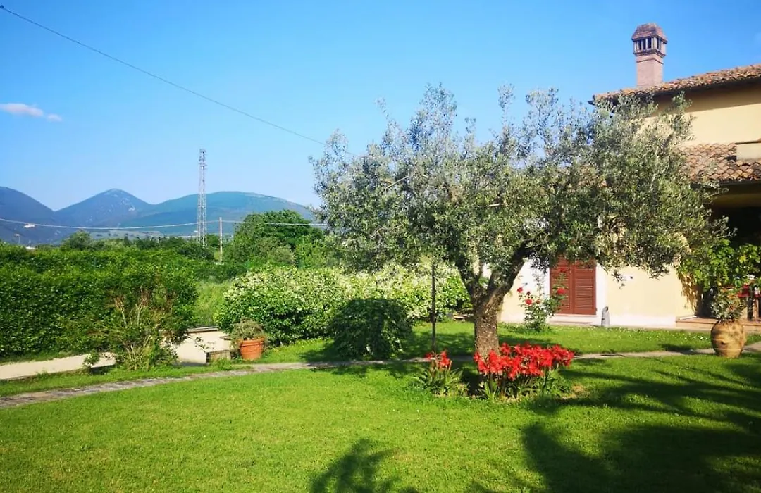 Il Gelsomino-1