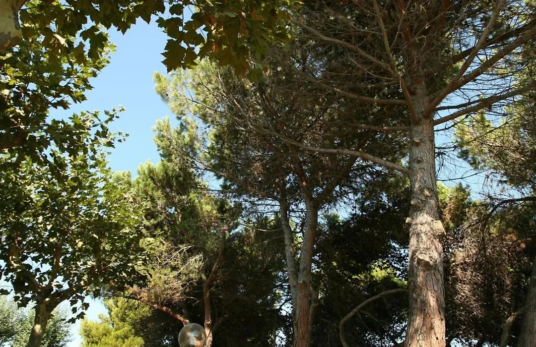 B&B Il Parco Dei Pini-1