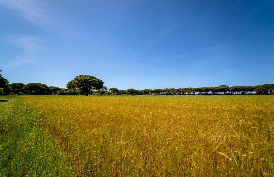 Agriturismo Bio Femminella-1