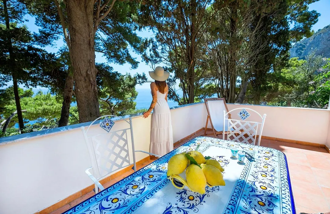 Casa Schiattarella Capri-1