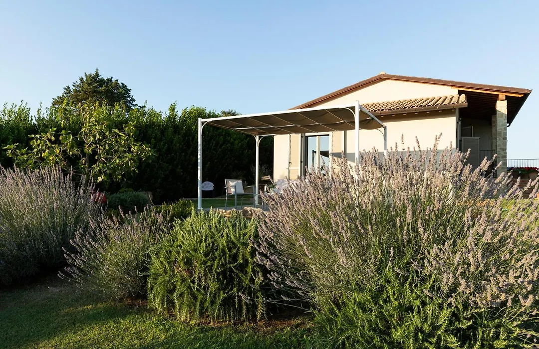 Nonno Gino suite-1