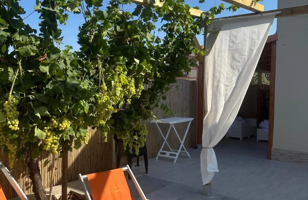B&B Spiaggia Le Dune-1