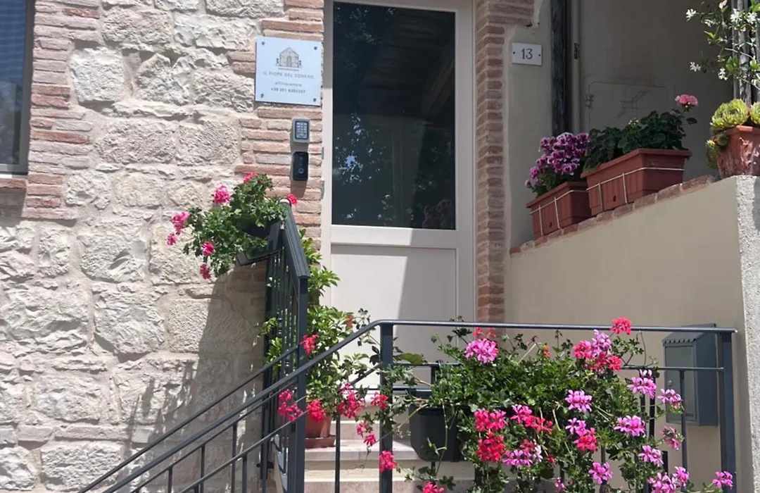 Il Fiore del Conero-1