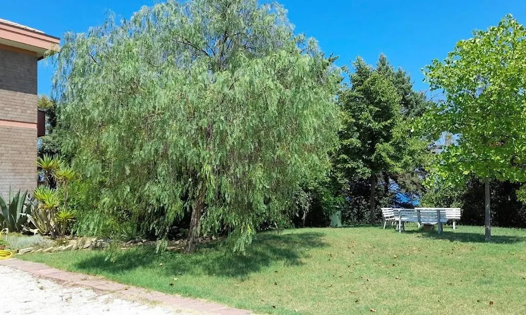 B&B Acqua e Sale-1