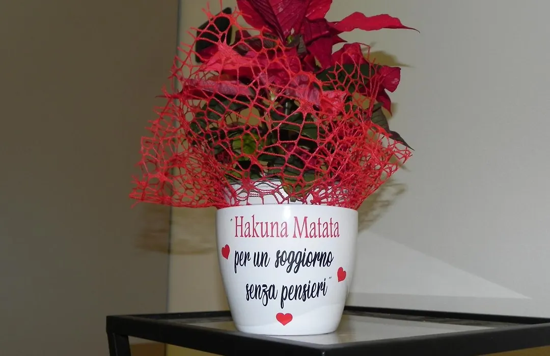 Hakuna Matata B&B-1