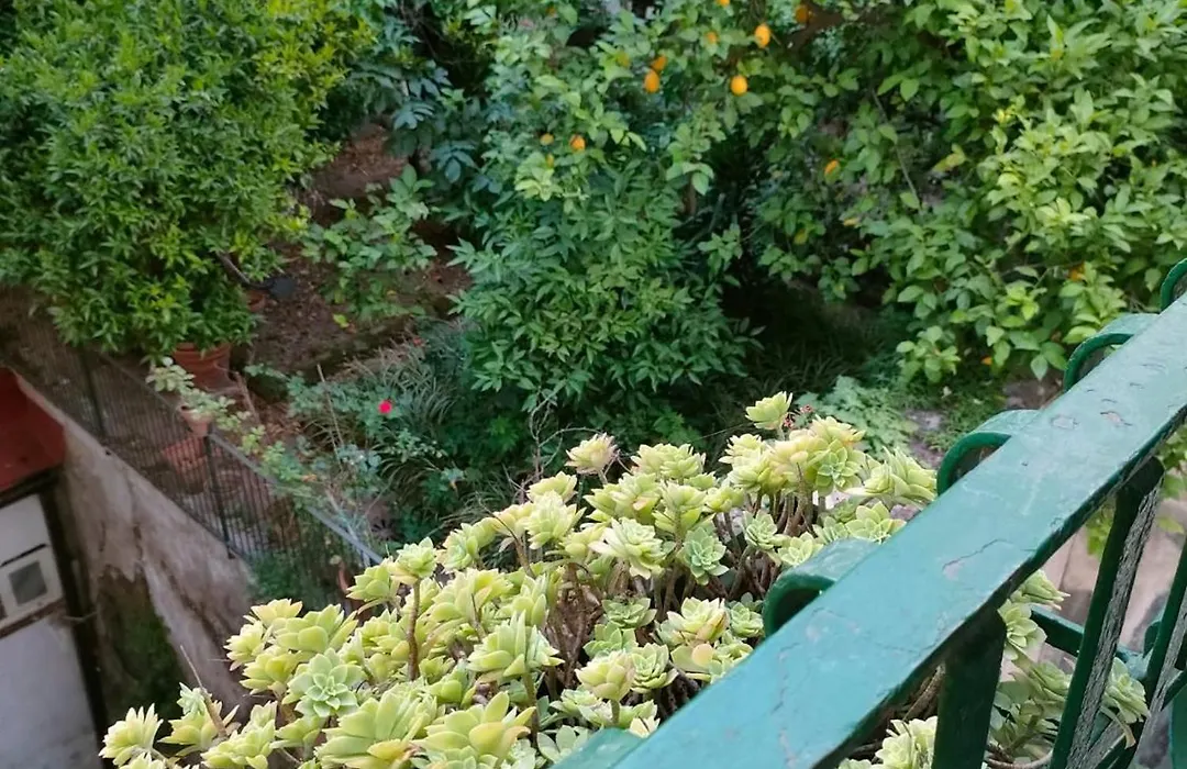 A casa di Freddie B&B-1
