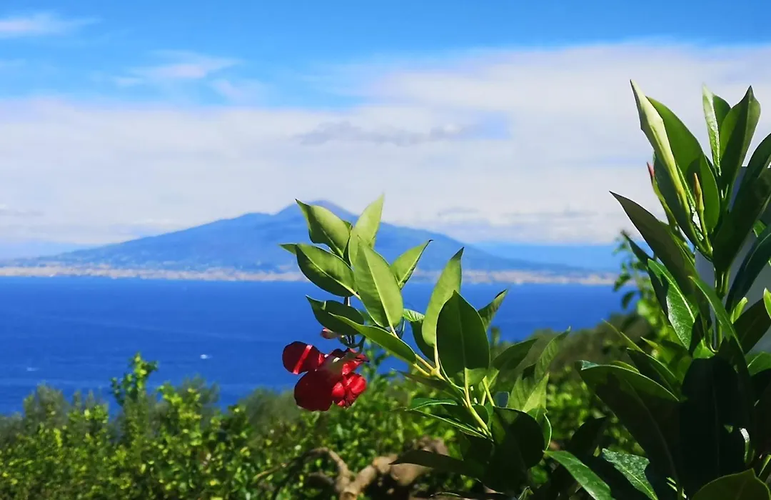 Blu Vesuvius Sorrento-1