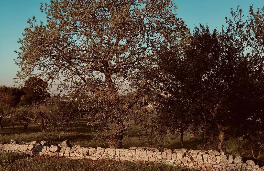 Masseria Fenicia-1