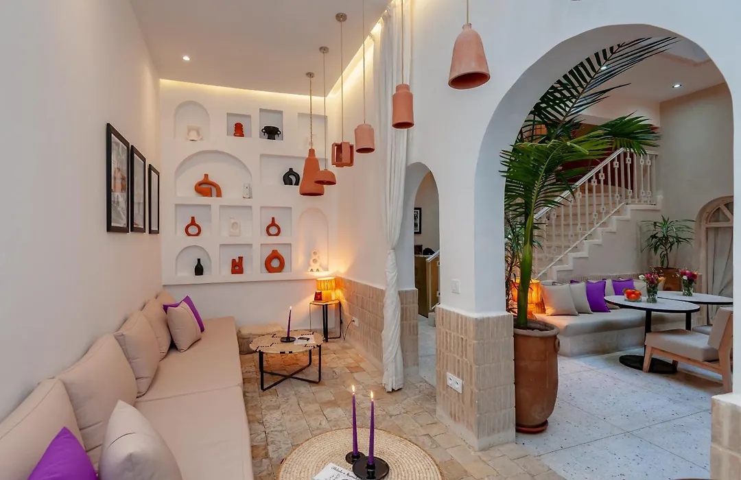 Riad K-White-1