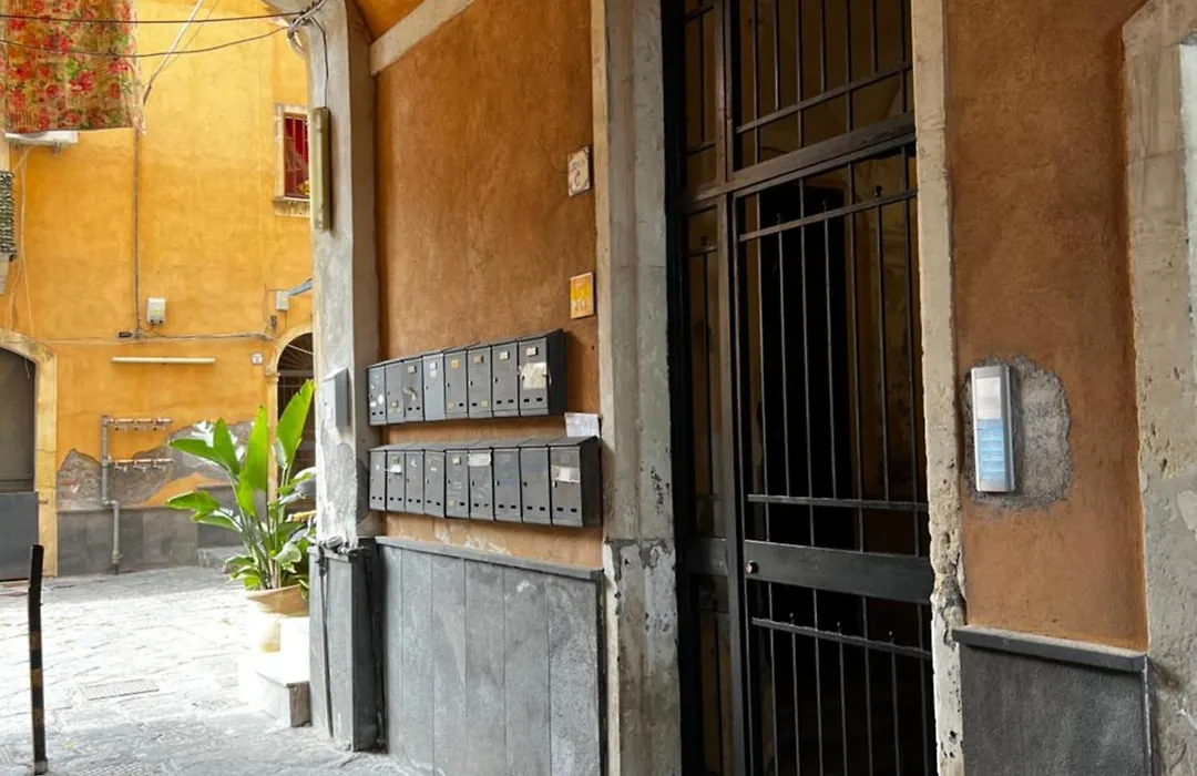 Dama Rooms-1