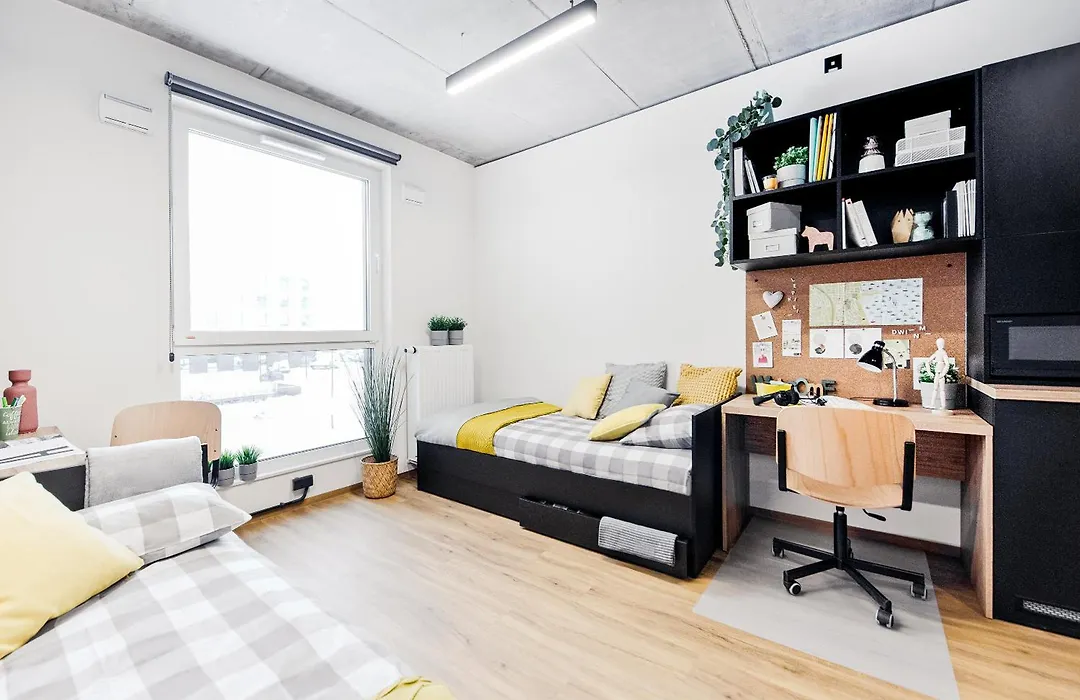 Shed Living Krakow-1