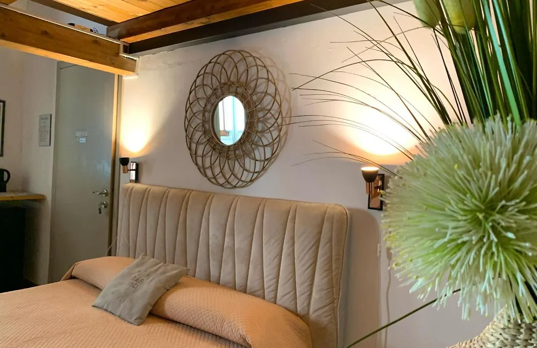B&B Vinci-1