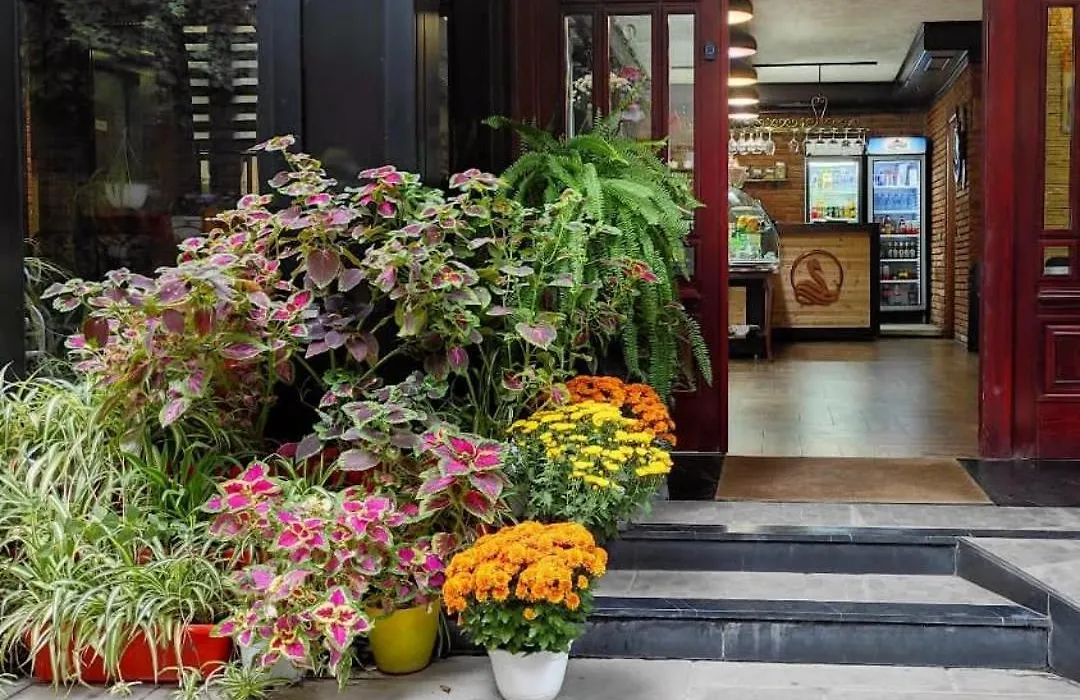 Hotel Livia-1