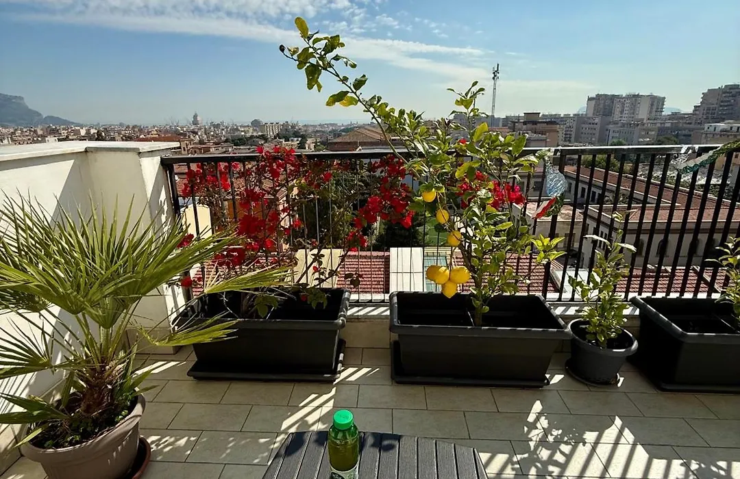 B&B Bellavista-1
