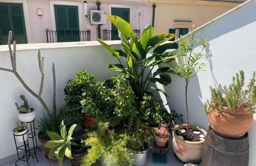 Terrazza alla Cala-1