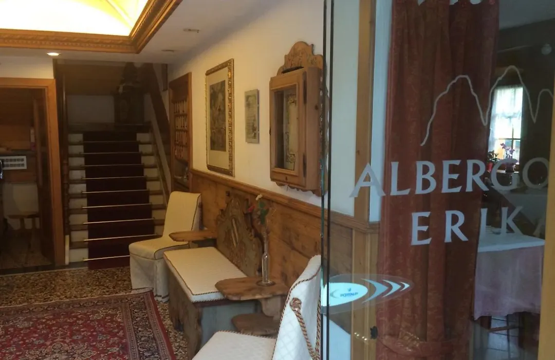 Hotel Erika-1