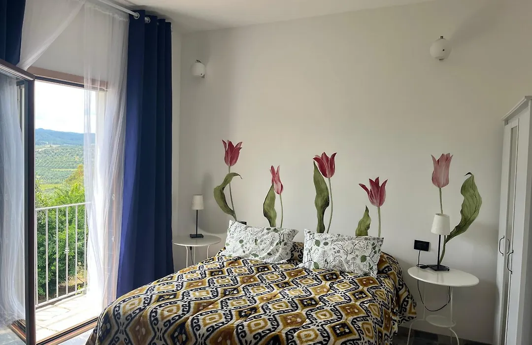 B&B Le Cicale-1