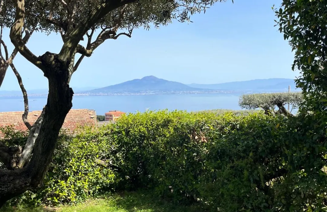 Sorrento Garden-1