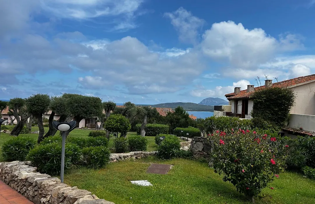 Ladunia Residence Porto Rotondo - Terrace, Swimming Pool, Sea View-1