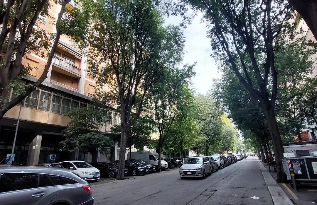 Madame Bologna-1