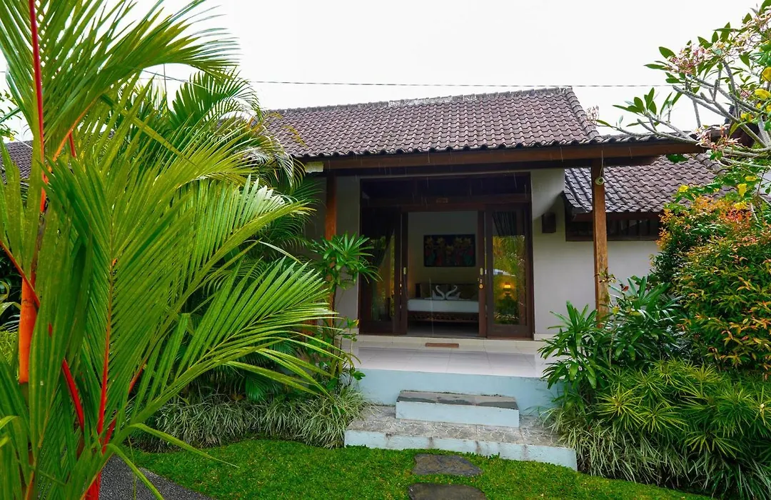 Green Coconut Cottage-1
