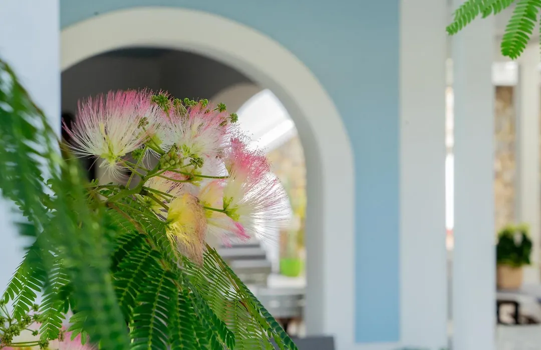 Villa Acacia-1