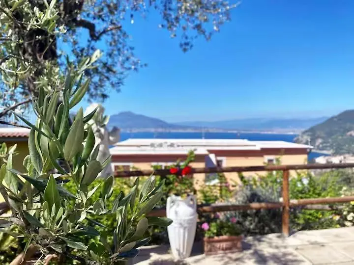Elisabeth Seaview Apartments Sorrento Coast-1