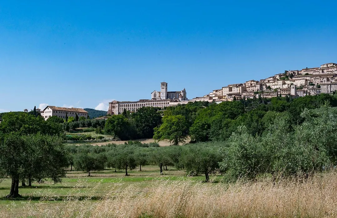 Tenuta San Masseo - Boutique Farm Resort & Spa-1