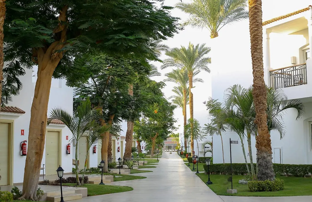 Jaz Fanara Residence-1
