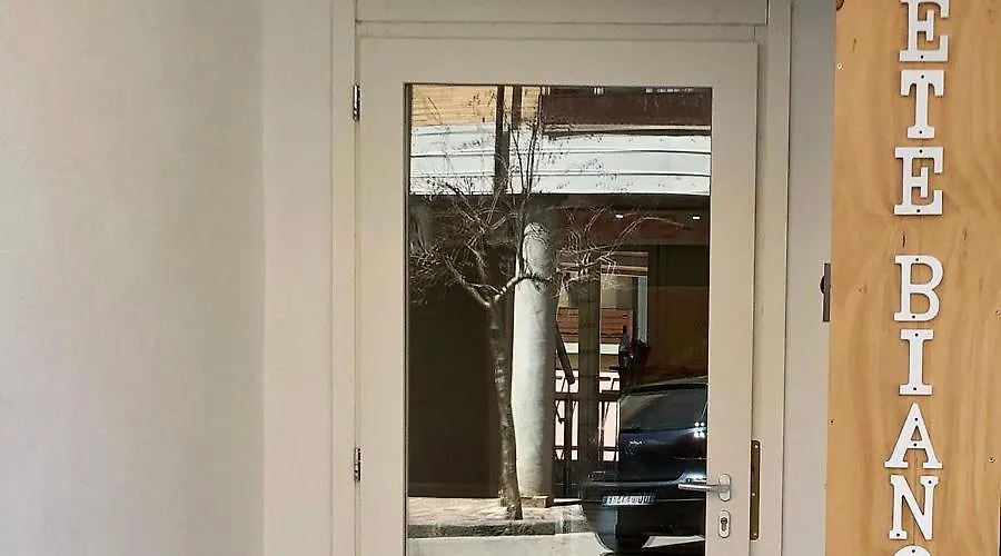 Abete Bianco - Albergo del Natale-1