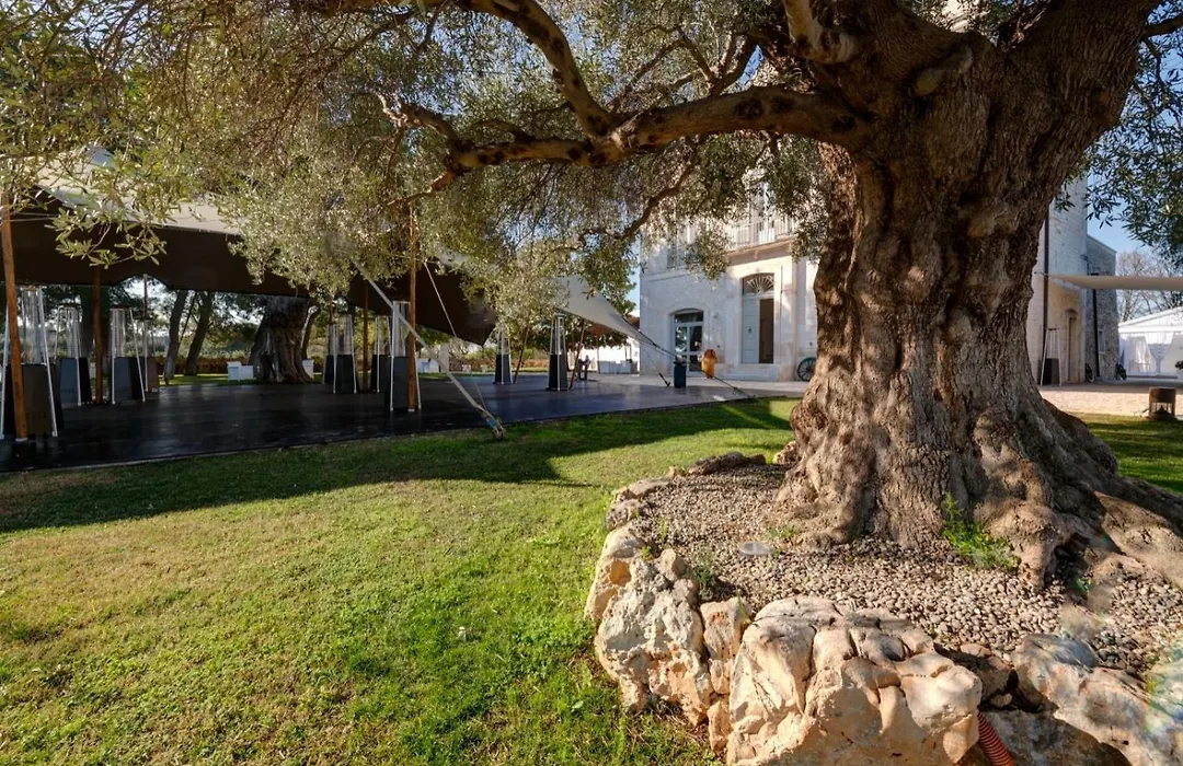 Masseria Mancini-1